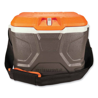 ergodyne® Chill-Its 5170 17-Quart Industrial Hard Sided Cooler, Orange/Gray, 30/Pallet (EGO13172)