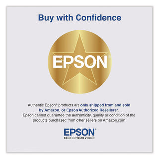 Epson® T580700 UltraChrome K3 Ink, Light Black (EPST580700) (EPST580700)