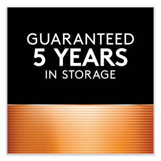 Duracell® CopperTop Alkaline 9V Batteries, 2/Pack (DURMN1604B2Z)