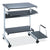Safco® Eastwinds Series Portrait PC Desk Cart, 36" x 19.25" x 31", Anthracite, Ships in 1-3 Business Days (MLN946ANT)