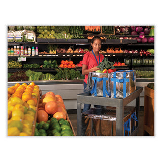 PackIt® Fresh Eco Freeze Tote, 13.5 x 9 x 13, Silver/Blue, 4/Carton (PKFUDMAG)