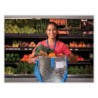PackIt® Fresh Eco Freeze Tote, 13.5 x 9 x 13, Silver/Blue, 4/Carton (PKFUDMAG)