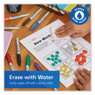 EXPO® Vis-A-Vis Wet-Erase Markers, Fine Marker Point, Black, Red, Green, Blue, 12/Dozen (SAN2134347)