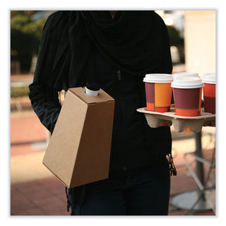 SCT® On-the-Go Carafe, 96 oz, Plain, 16/Carton (SCH0193)