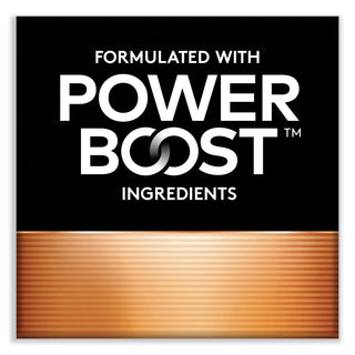 Duracell® CopperTop Alkaline AAA Batteries, 20/Pack (DURMN2400B20Z)