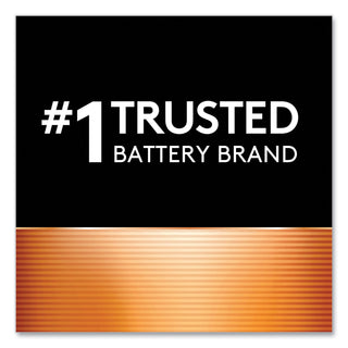 Duracell® Coppertop Alkaline Batteries, AA, 10/Pack (DURMN1500B10Z)