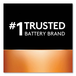 Duracell® CopperTop Alkaline AA Batteries, 8/Pack (DURMN1500B8Z)