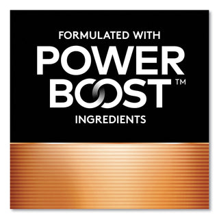 Duracell® Coppertop Alkaline Batteries, AA, 10/Pack (DURMN1500B10Z)