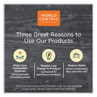 World Centric® Paper Lids for Containers, 4.7 x 6.8, Natural, Paper, 300/Carton (WORCTLNT16)