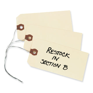 Avery® Double Wired Shipping Tags, 13pt. Stock, 3 1/4 x 1 5/8, Manila, 1,000/Box (AVE12602)