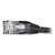 Tripp Lite Cat6 Gigabit Snagless Molded Patch Cable, RJ45 (M/M), 7 ft., Black (TRPN201007BK)
