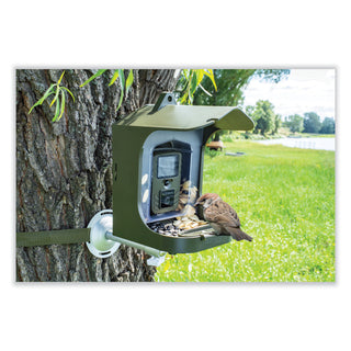 TECHNAXX® Full HD Birdcam TX-165, 8 Mpixels, Black/Green (TAX4923)