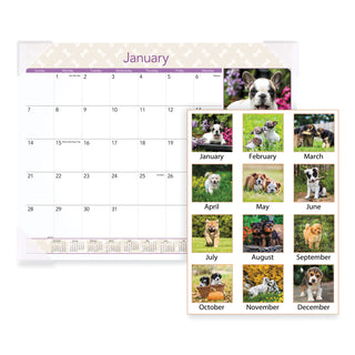 AT-A-GLANCE® Puppies Monthly Desk Pad Calendar, Puppies Photography, 22 x 17, White Sheets, Clear Corners, 12-Month (Jan to Dec): 2025 (AAGDMD16632)