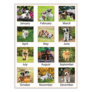 AT-A-GLANCE® Puppies Monthly Desk Pad Calendar, Puppies Photography, 22 x 17, White Sheets, Clear Corners, 12-Month (Jan to Dec): 2025 (AAGDMD16632)