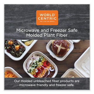 World Centric® Fiber Containers, 8.7 x 6.5 x 2.1, Natural, Paper, 400/Carton (WORCTSCU2LFP)