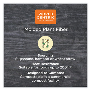 World Centric® Fiber Trays, 7.1 x 9.1 x 0.7, Natural, Paper, 500/Carton (WORTRSC4SLFS)