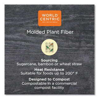 World Centric® Fiber Containers, 8.7 x 6.5 x 2.1, Natural, Paper, 400/Carton (WORCTSCU2LFP)
