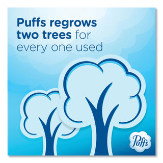 Puffs Ultra Soft Facial Tissue, 2-Ply, White, 124 Sheets/Box, 6 Boxes/Pack, 4 Packs/Carton (PGC35554)