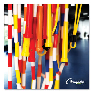 Champion Sports Physical Education Kit w/Seven Balls, 14 Jump Ropes, Assorted Colors (CSIUPGSET2)