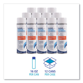 Boardwalk® Vandalism Mark Remover, 16 oz Aerosol Spray, 12/Carton (BWK351ACT)