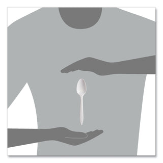 SOLO® Regal Mediumweight Cutlery, Full-Size, Teaspoon, White, 1000/Carton (SCCS6SW)