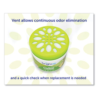 BRIGHT Air® Super Odor Eliminator, Zesty Lemon and Lime, 14 oz, 6/Carton (BRI900248)