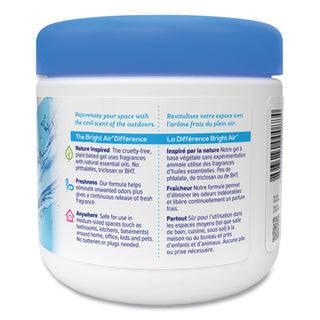BRIGHT Air® Super Odor Eliminator, Cool and Clean, Blue, 14 oz, 6/Carton (BRI900090-CS)