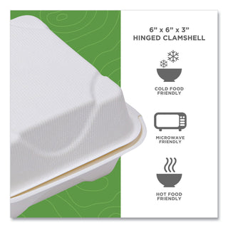 Eco-Products® GreenStripe Renewable & Compost Cold Cup Flat Lids, F/9-24oz., 100/PK, 10 PK/CT (ECOEPFLCC)