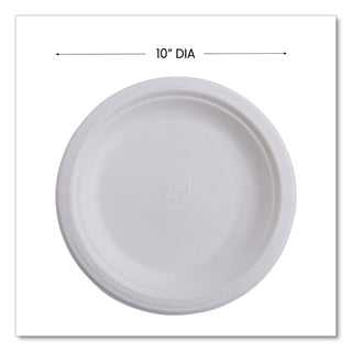 Eco-Products® Vanguard Renewable and Compostable Sugarcane Plates, 10", White, 500/Carton (ECOEPP005NFA)