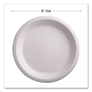 Eco-Products® Renewable & Compostable Sugarcane Plates, 9", 500/Carton (ECOEPP013)