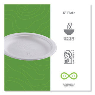 Eco-Products® Vanguard Renewable and Compostable Sugarcane Plates, 6", White, 1,000/Carton (ECOEPP016NFA)