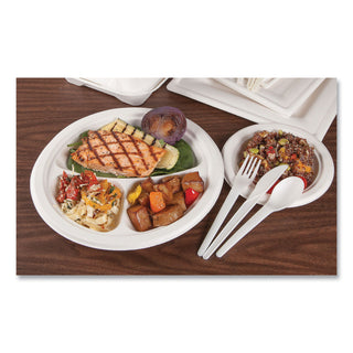Eco-Products® Plantware Compostable Cutlery, Spoon, 6", Pearl White, 50/Pack, 20 Pack/Carton (ECOEPS013)