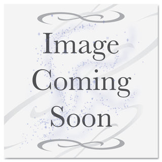 Dri-Mark® Counterfeit Money Detection System, US dollar (DRI351UV6)
