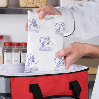 Nordic Ice® Refrigerant Gel Pack For Safe Transport of Food, Pharmaceuticals and Medical Products (1138690_CS)