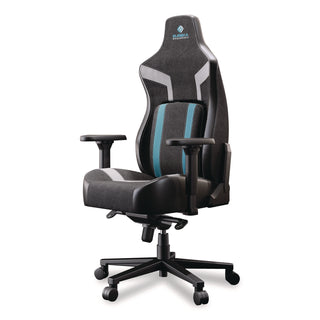 Eureka Ergonomic® Python II Ergonomic Chair, Supports up to 300 lb, 18.88" to 22.83" Seat Height, Black Fabric Seat, Black/Blue Fabric Back (EKAGC08BU)