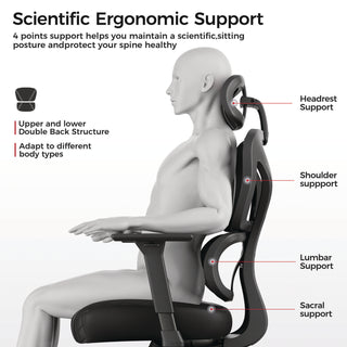 Eureka Ergonomic® Norn Ergonomic Chair, Supports Up to 275 lb, 18.11" to 22.04" Seat Height, Black/Gray Mesh Seat/Back, Black Base (EKAGC06GY)