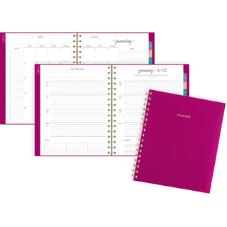 AT-A-GLANCE® Harmony Weekly/Monthly Poly Planner, 8.88 x 7.69, Purple/Gold Cover, 13-Month (Jan to Jan): 2025 to 2026 (AAG109980556)