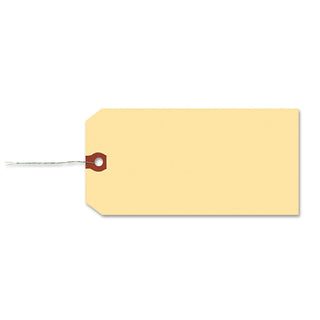 avery-double-wired-shipping-tags-ave12603.jpg