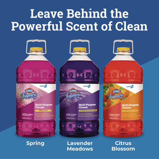 clorox-cloroxpro-fraganzia-multi-purpose-cleaner-concentrate-clo60615ct.jpg