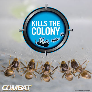 combat-max-2-in-1-ant-bait-dia07172.jpg