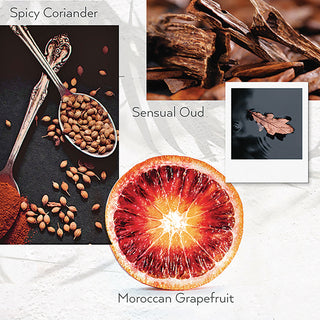 guild-pepper-shampoo-gis100302.jpg