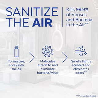 lysol-air-sanitizer-spray-rac99351ct.jpg