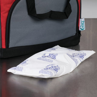 Nordic Ice® Refrigerant Gel Pack For Safe Transport of Food, Pharmaceuticals and Medical Products (1138690_CS)