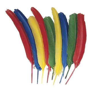 Chenille Kraft Company Quill Feathers (CKC4503)