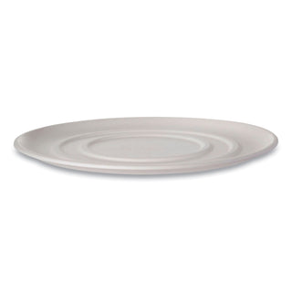 eco-products-worldview-sugarcane-pizza-trays-ecoepscptr16.jpg