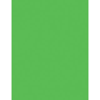 Riverside Paper Neon Bond Paper, 24 lb., 100 Sheets, 8 1/2&quot;x11&quot;, Neon Green (PAC104317)