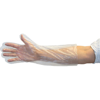 The Safety Zone Poly Disposable Gloves, Large (GDPELG)