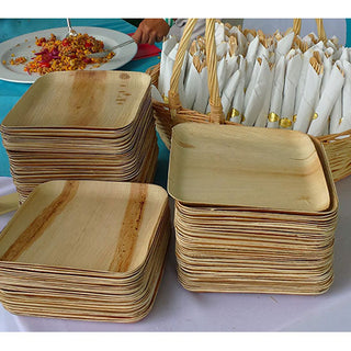 Verterra 9" Square Compostable Palm Leaf Plate (01-20-25B)
