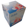 GEN Facial Tissue Cube Box, 2-Ply, White, 85 Sheets/Box, 36 Boxes/Carton