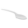 Pactiv Fieldware Polypropylene Cutlery, Spoon, Mediumweight, White, 1,000/Carton